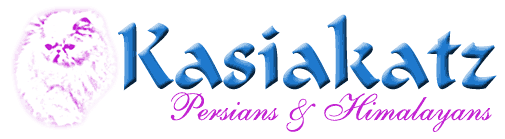 Kasiakats Persians & Himalayans
