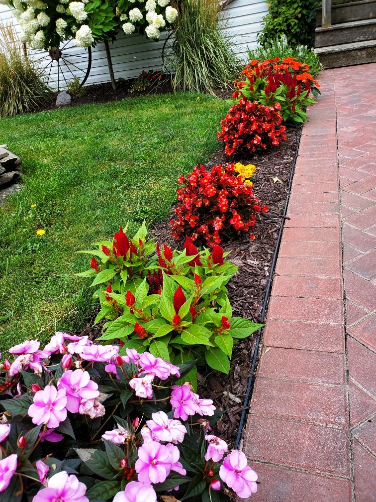 Flower Planting