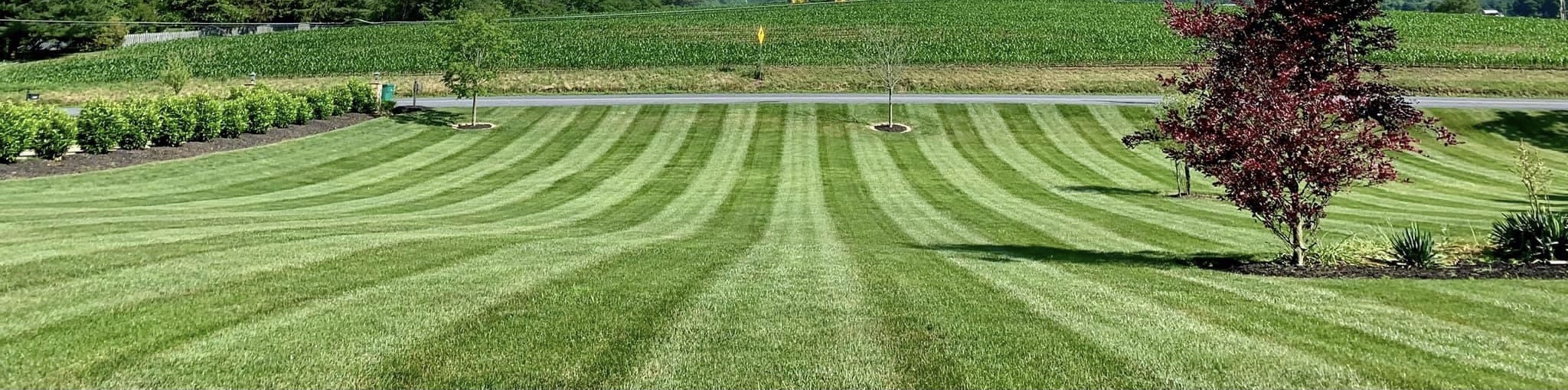 Lawn mowing