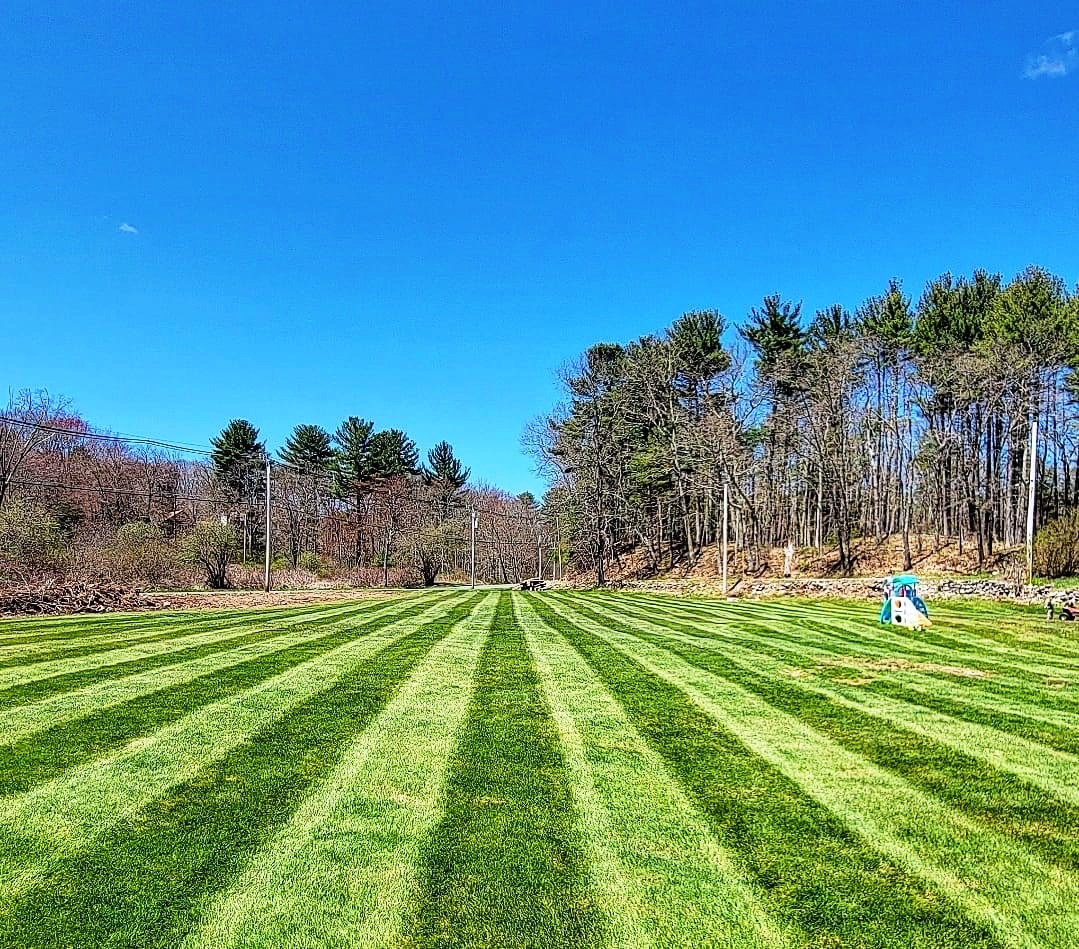 Lawn Mowing and striping