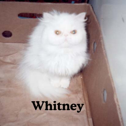 My cute little Whitney-baby